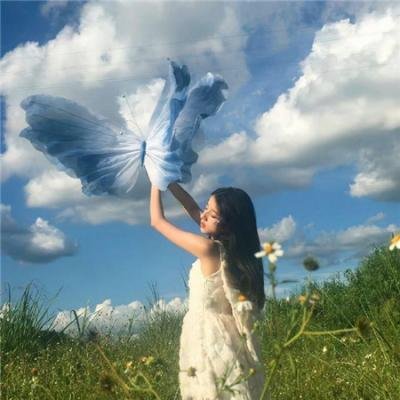 猫儿协奏曲